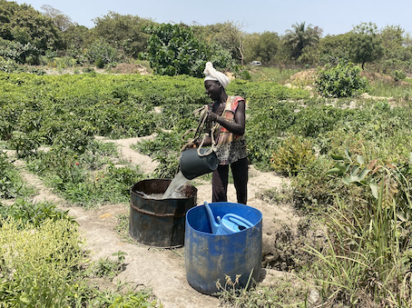 Solar irrigation in Contuboel